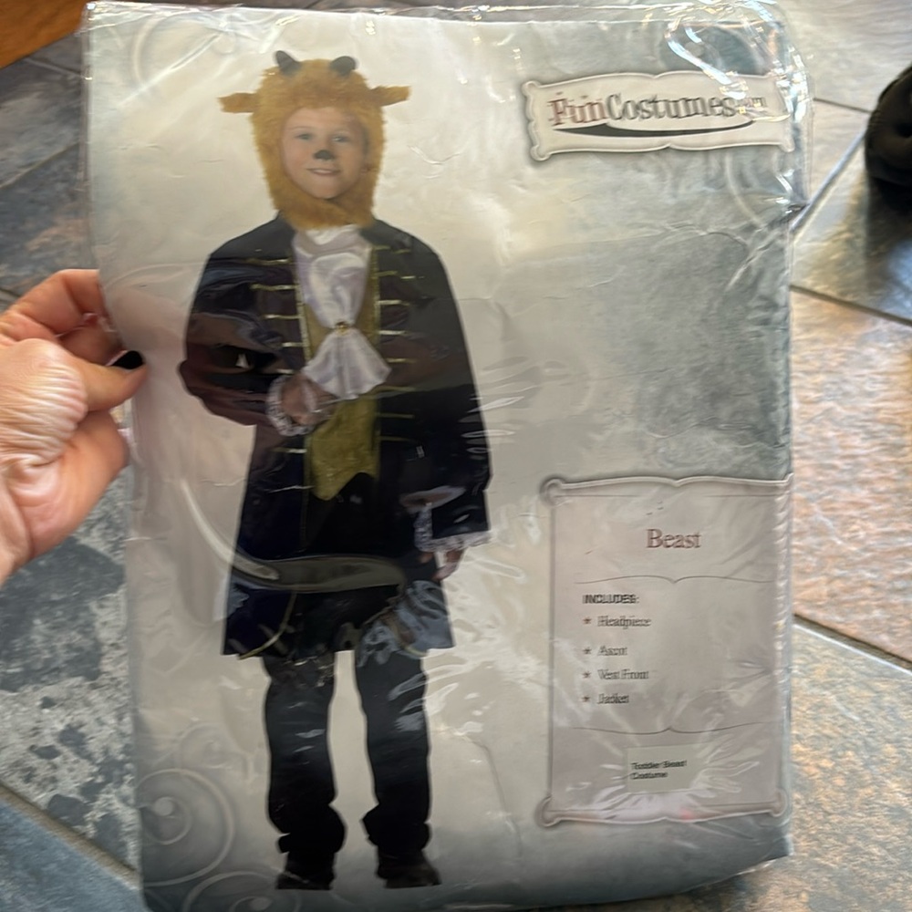 Beast costume from beauty and the beast